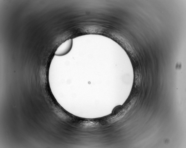 X0000103450453200810101131