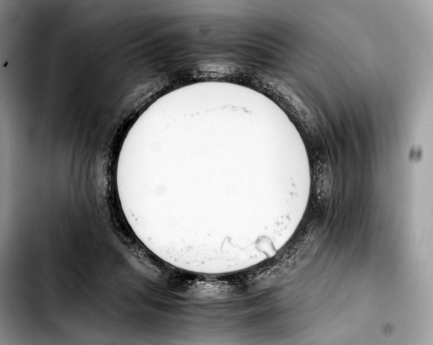 X0000103450455200810101131