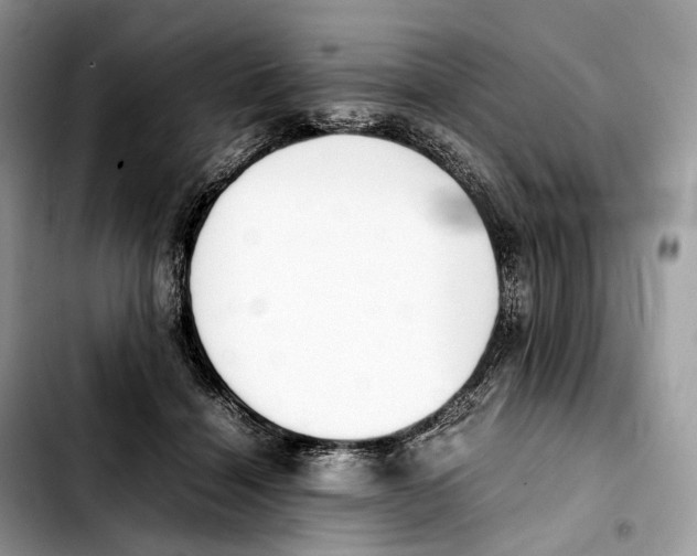 X0000103450460200810101131