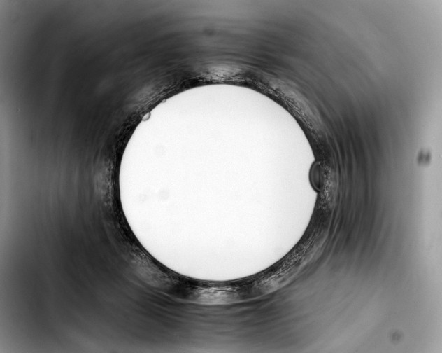 X0000103450461200810101131