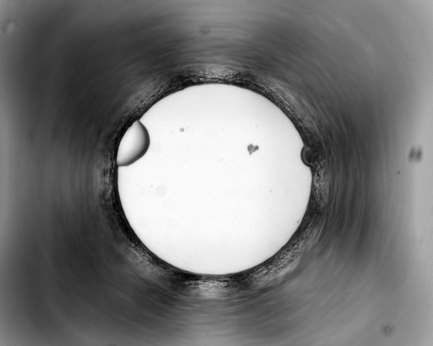 X0000103450462200810101131