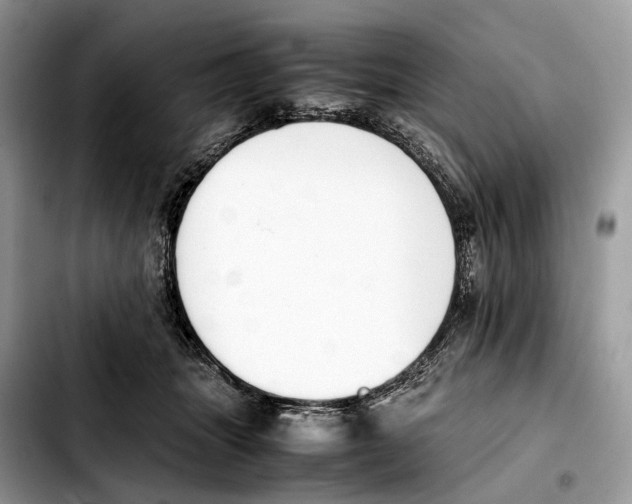 X0000103450463200810101131