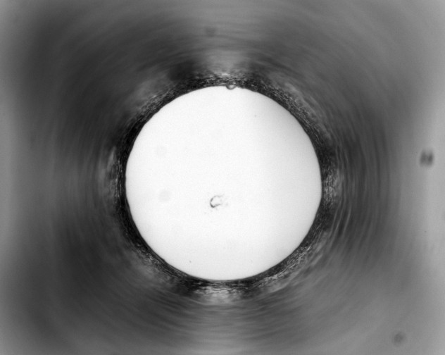 X0000103450464200810101131