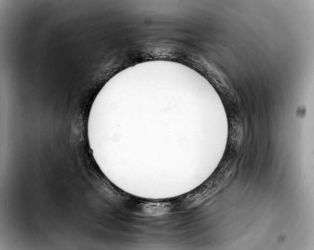 X0000103450465200810101131