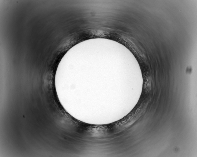 X0000103450466200810101131