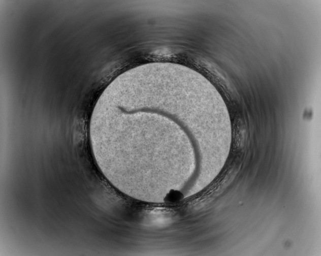 X0000103450467200810101131