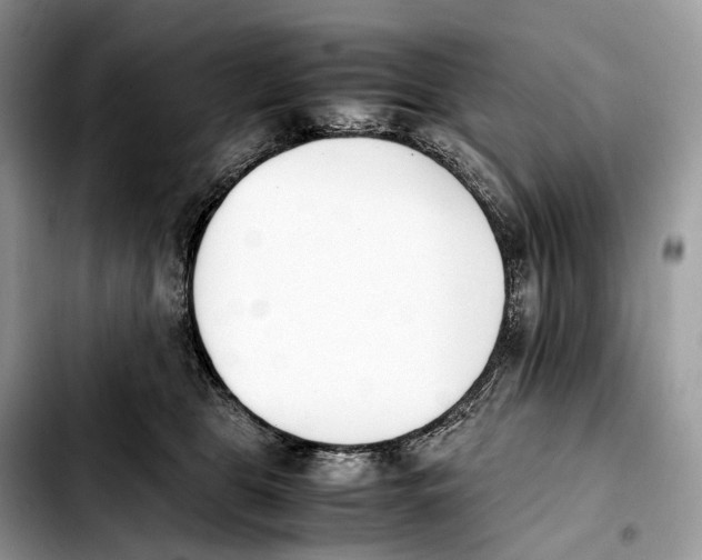 X0000103450469200810101131