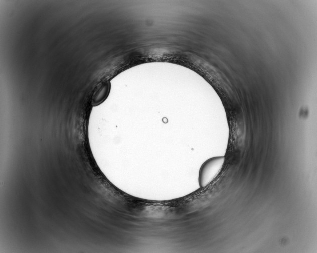 X0000103450470200810101131