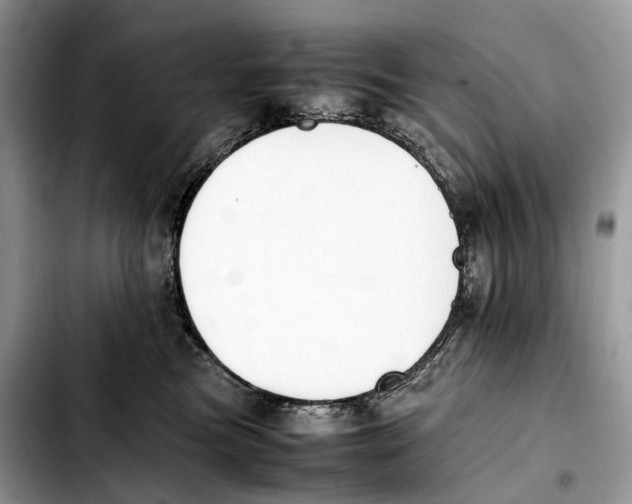 X0000103450473200810101131