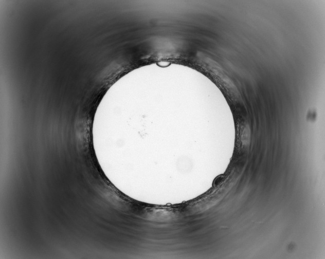 X0000103450475200810101131