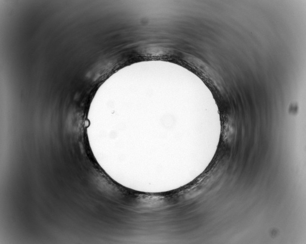 X0000103450476200810101131