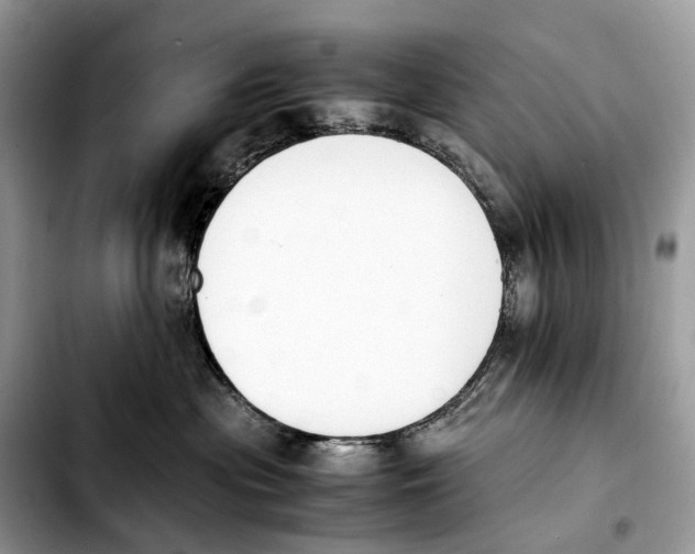 X0000103450477200810101131