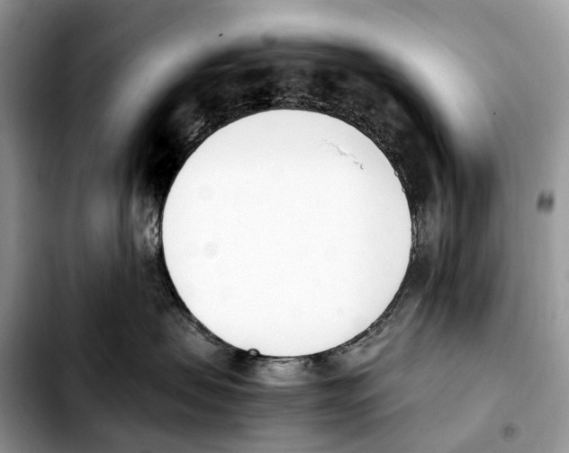 X0000103450479200810101131