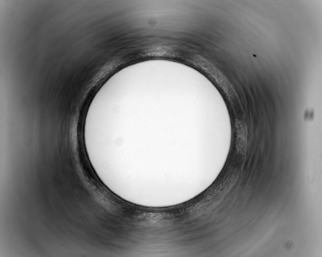 X0000103450482200810101131