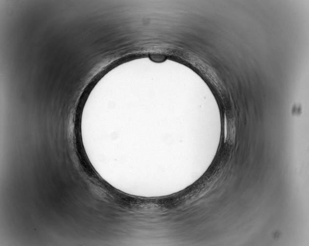 X0000103450483200810101131