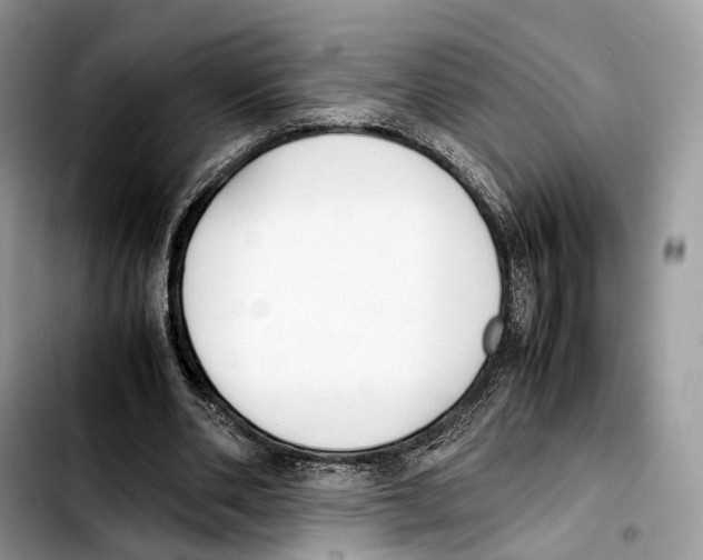 X0000103450486200810101131