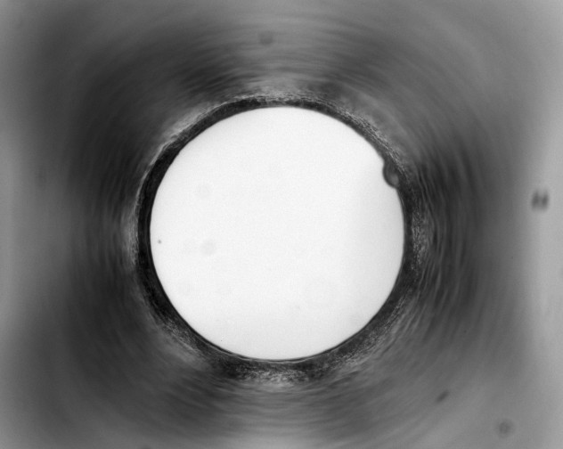 X0000103450488200810101131