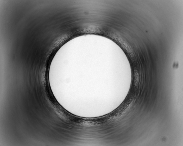 X0000103450490200810101131