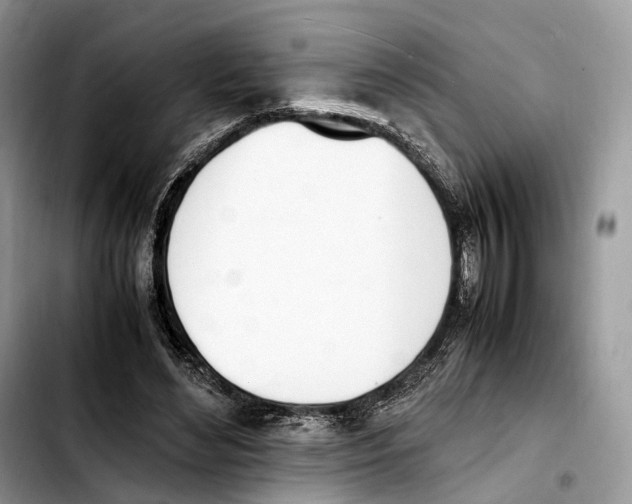 X0000103450492200810101131