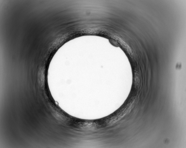 X0000103450493200810101131