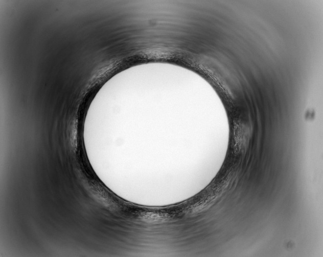 X0000103450494200810101131