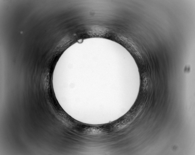 X0000103450498200810101131