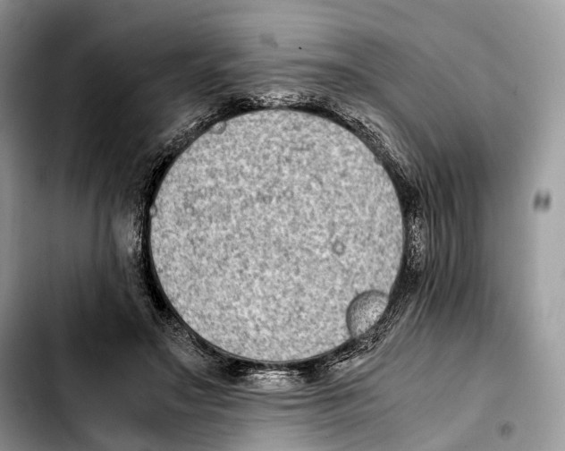 X0000103450499200810101131