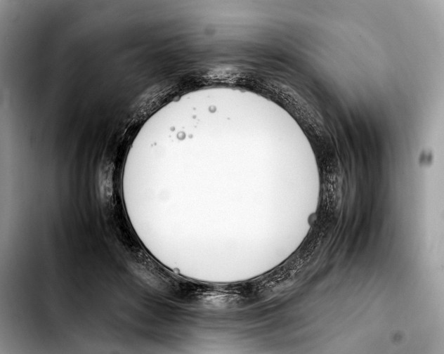 X0000103450504200810101130