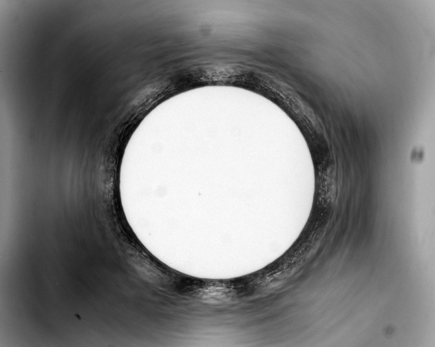 X0000103450505200810101130