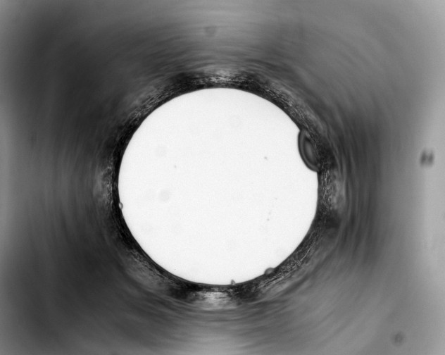 X0000103450509200810101130