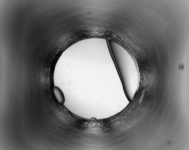 X0000103450512200810101130