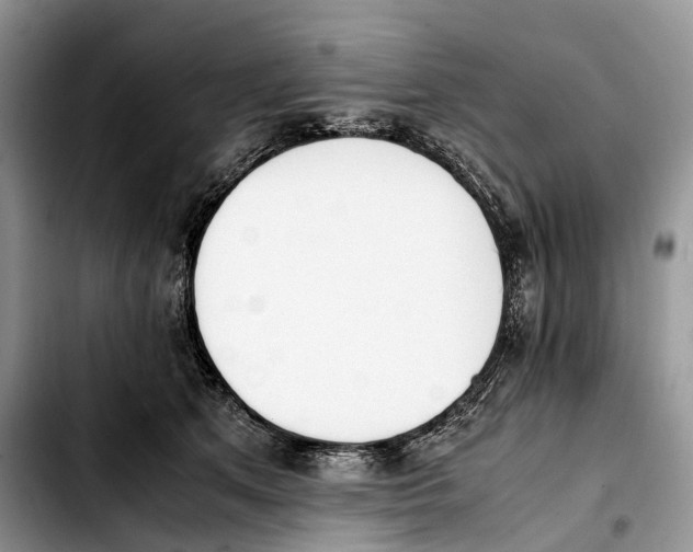 X0000103450513200810101130