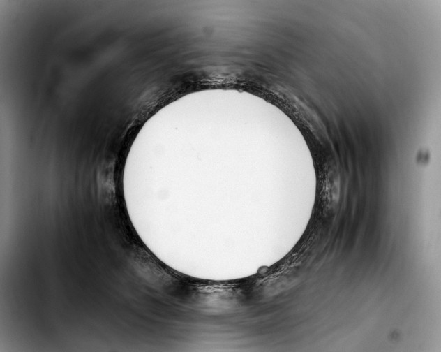 X0000103450516200810101130