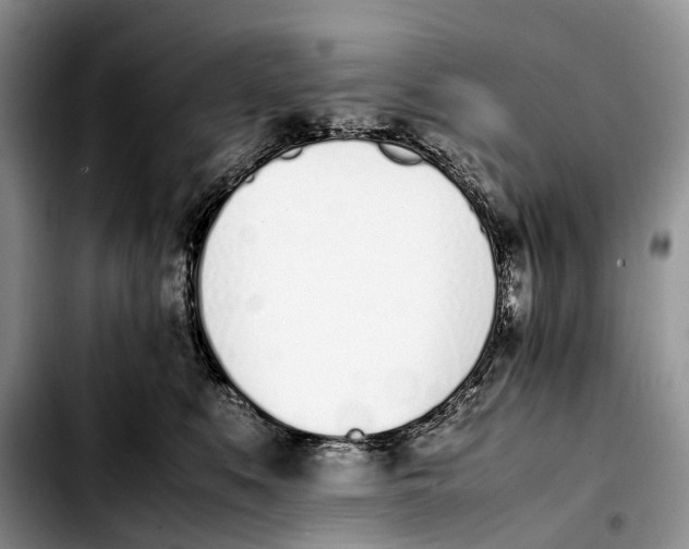 X0000103450519200810101130