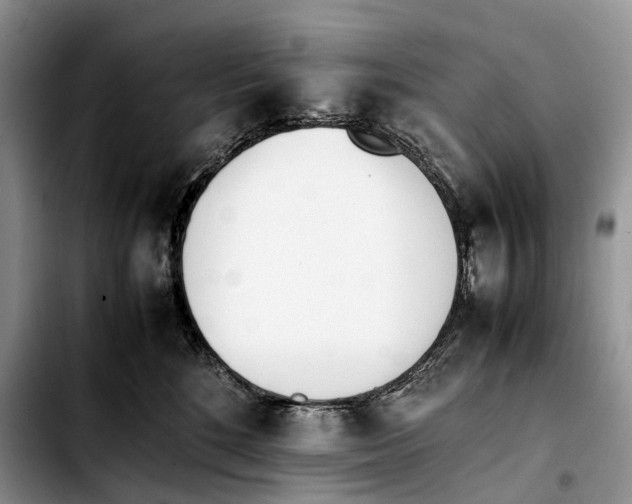 X0000103450520200810101130