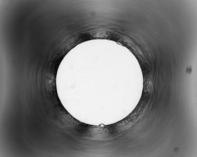 X0000103450521200810101130