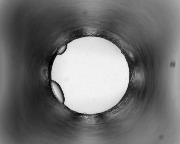 X0000103450524200810101130