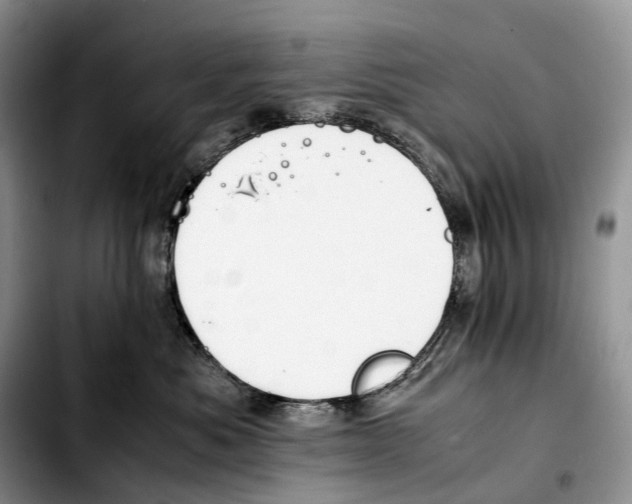 X0000103450525200810101130