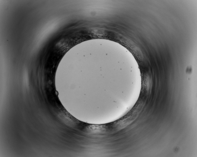 X0000103450526200810101130