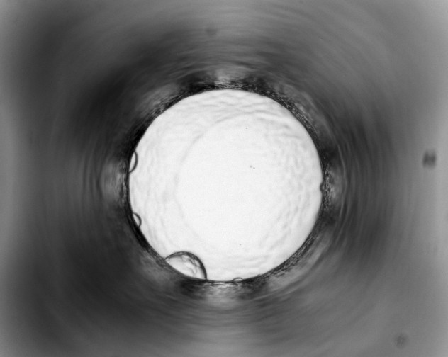 X0000103450527200810101130