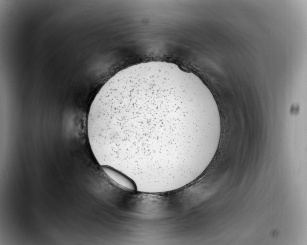 X0000103450528200810101130