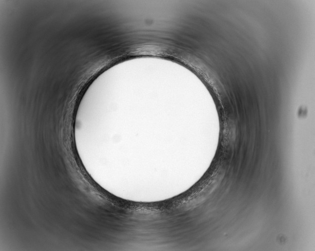 X0000103450529200810101129