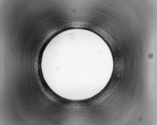 X0000103450530200810101129