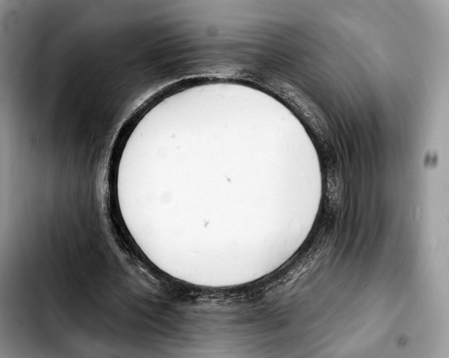 X0000103450532200810101130