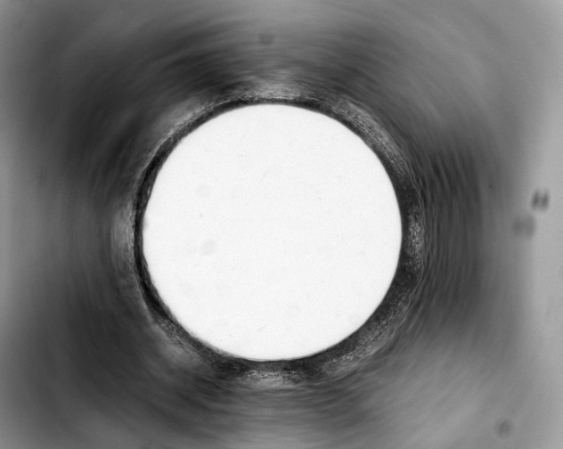 X0000103450534200810101130