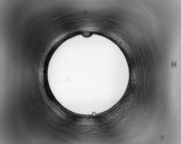 X0000103450535200810101130