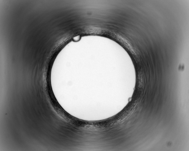 X0000103450538200810101130