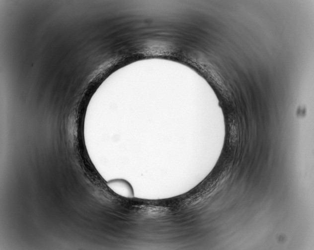 X0000103450539200810101130