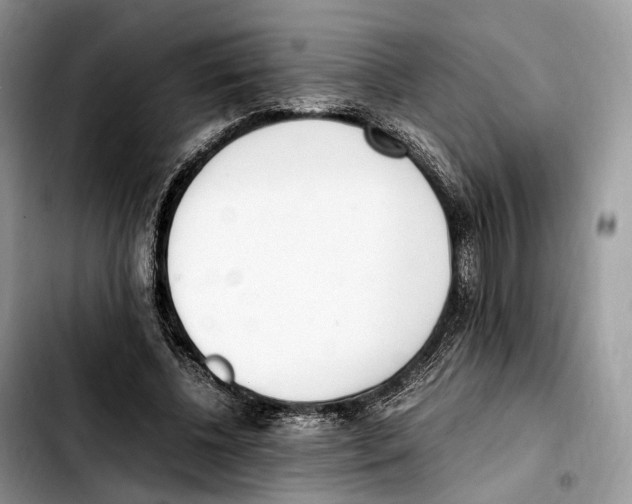 X0000103450540200810101130