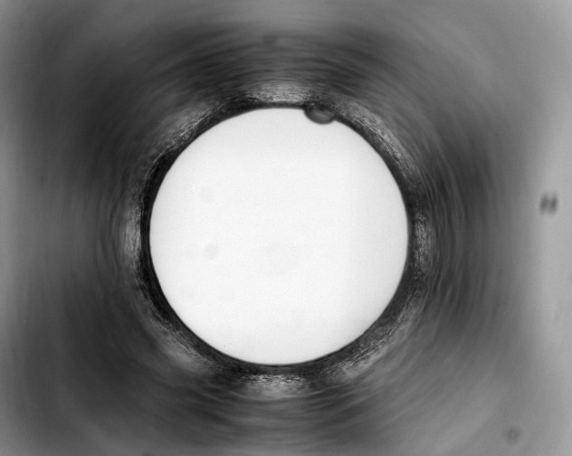 X0000103450541200810101130